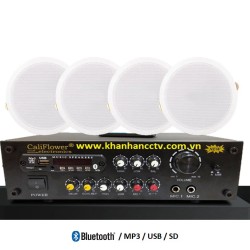 Bộ combo 4 Loa âm trần cho quán café, trà sữa, cửa hàng, văn phòng CS-618T-4