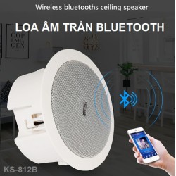 Loa âm trần nghe nhạc Bluetooth BS-812B công suất 20W