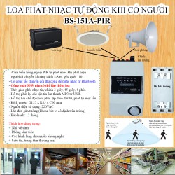 Bộ điều khiển mở nhạc tự động khi có người KS-910-PIR (quảng cáo, siêu thị, thư giãn, giải trí)