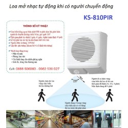 Loa phát nhạc tự động khi có người BS-151A-PIR (quảng cáo, siêu thị, thư giãn, giải trí)