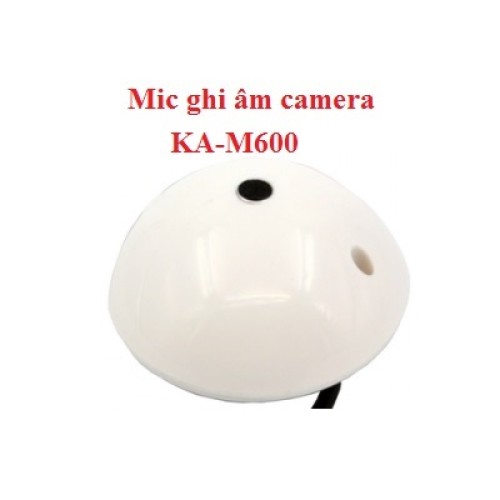 Hướng dẫn chi tiết cách lắp mic thu âm cho hệ thống camera đơn giản, hiệu quả